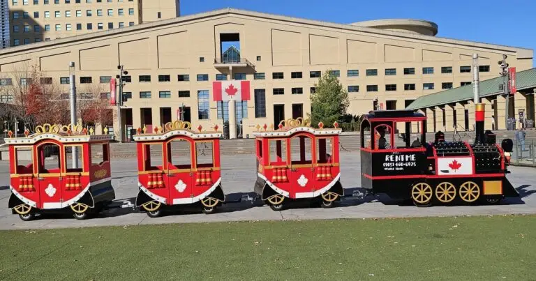 maple train 1 768x403