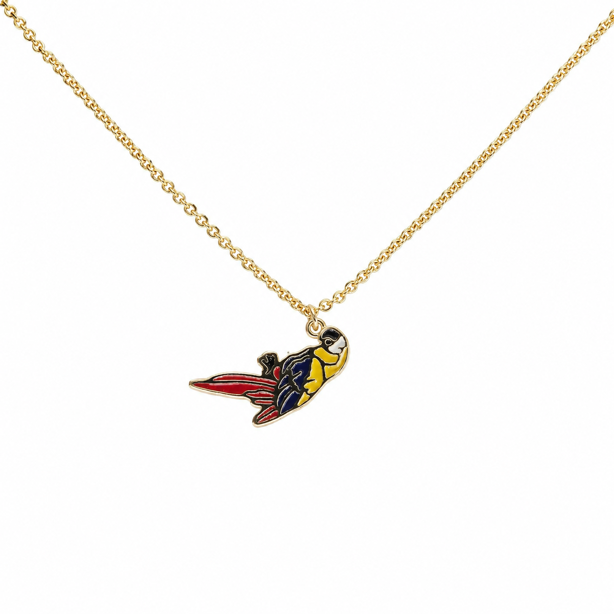 Collar Dorado Guacamaya Colombia